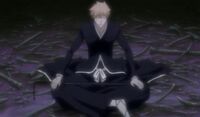 Ichigo jinzen.jpg