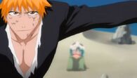 Ichigo protege a Nel