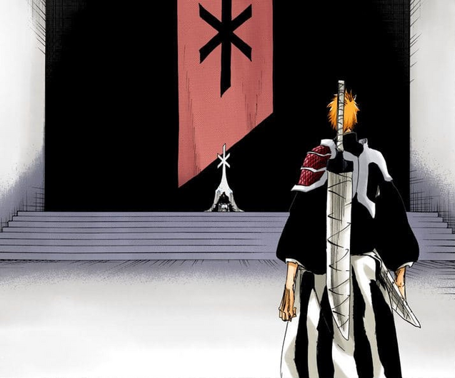 File:672Ichigo confronts.png