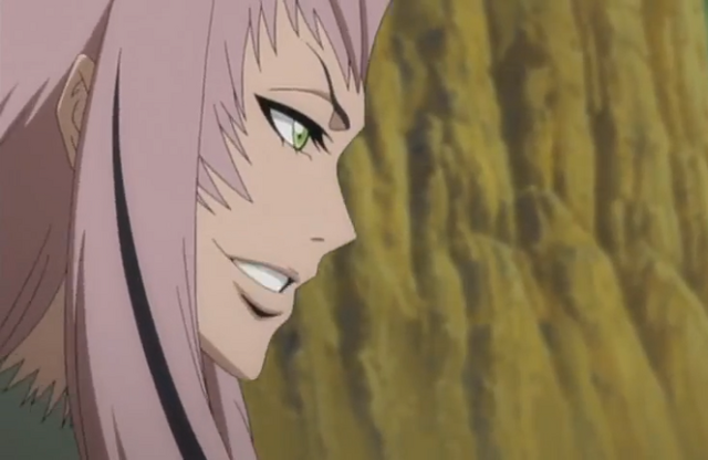 File:234Saru asks.png