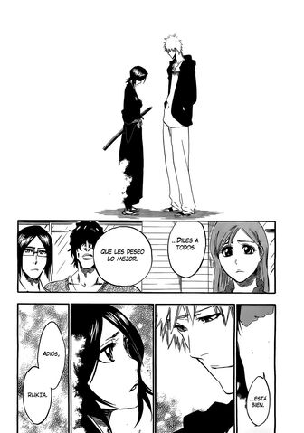 Archivo:Bleach 423.jpg