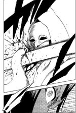 Bleach172-1-.jpg