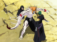 Ep339 IchigosaveRukia.png