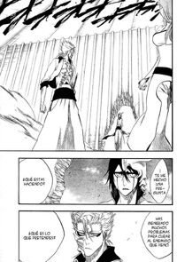 Bleach278a