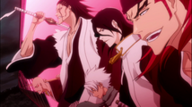 Gotei 13.png