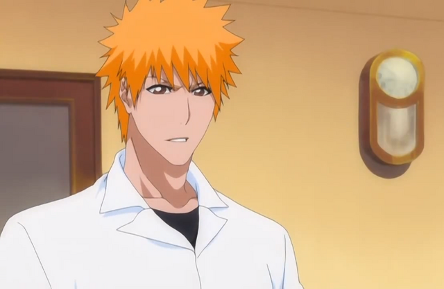 File:258Ichigo states.png