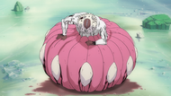 198Zommari emerges