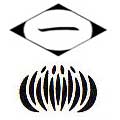 Primera Division Insignia.jpg