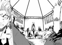 Bleach-12480-1-.jpg
