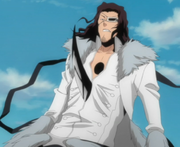 Shunsui Stabs Starrk.png