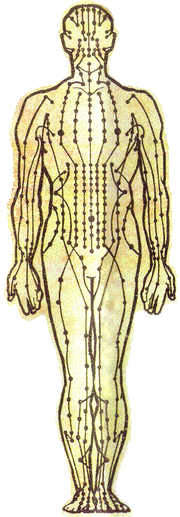 Spiritualanatomy