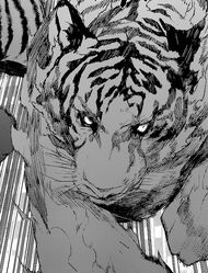 Sei tiger reiatsu