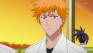 Senna's cameo.png