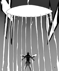 C504P2 Sasakibe Bankai used by Driscoll Berci