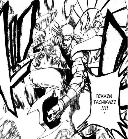Datei:Tekken tachikaze.jpg