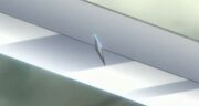 Shinsō Cracki.jpg
