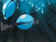 Bitto.png