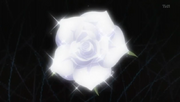 800px-Rosablanca.png