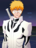 IchigoFullbring3.png