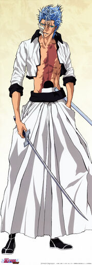 Grimmjow Jaegerjaquez.jpg