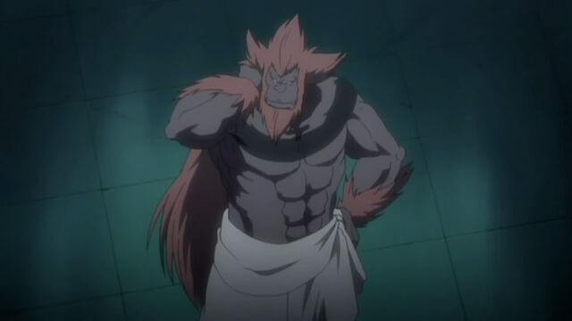 Datei:IkkakusZanpakutou.jpg