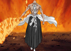 Ryūjin Jakka | BleachWiki | Fandom powered by Wikia