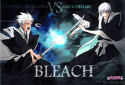 Toshiro Vs. Gin