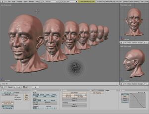 Blender Sculpt.jpg
