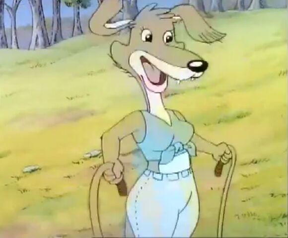 File:Daisy Dingo Fun run.jpg