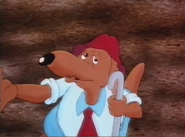 File:Mr. Kangoroo.jpg