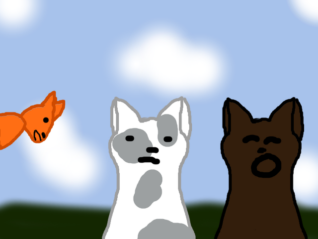 File:Askwarriors.png