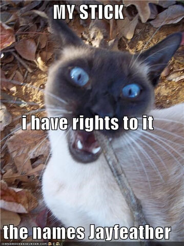 File:7ed9ea0c08aded04aaebc91f01c426d3.jpg
