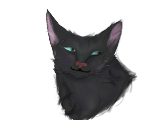 File:Birchpaw.jpeg