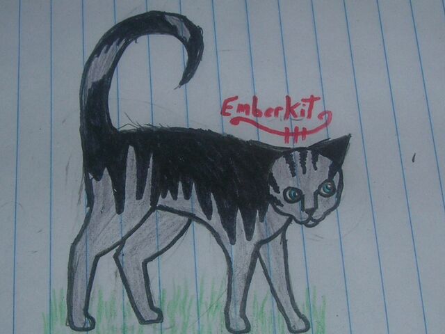 File:Emberkit.jpg