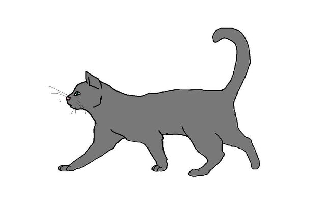 File:Good Cat!.jpg