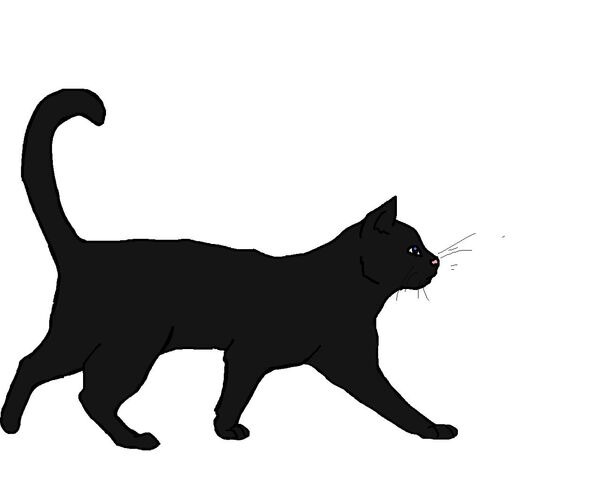File:Nightflower (Drawn).jpg