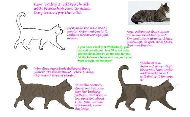 File:Wiki Tutorial.png