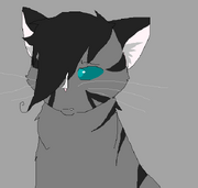 SWoRB's character