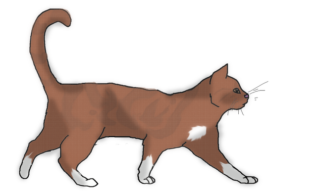 File:Cinnamonpawswiftfirelineartfinished.png