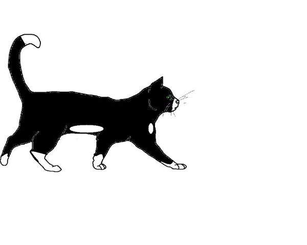 File:Mudnose.jpg