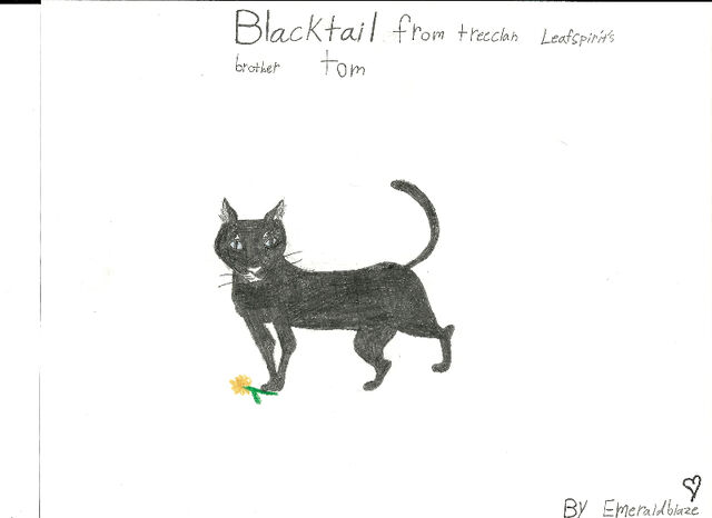 File:Emerald-blaze-blacktail.jpg