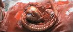 Xenomorph Chestburster