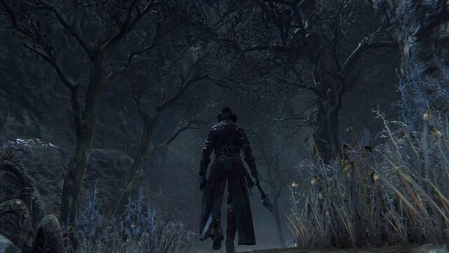 File:Bloodborne™ 20151013085621.jpg