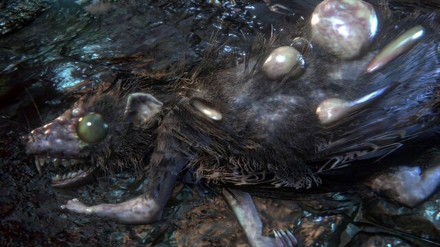 File:Bloodborne™ 20151017194842.jpg