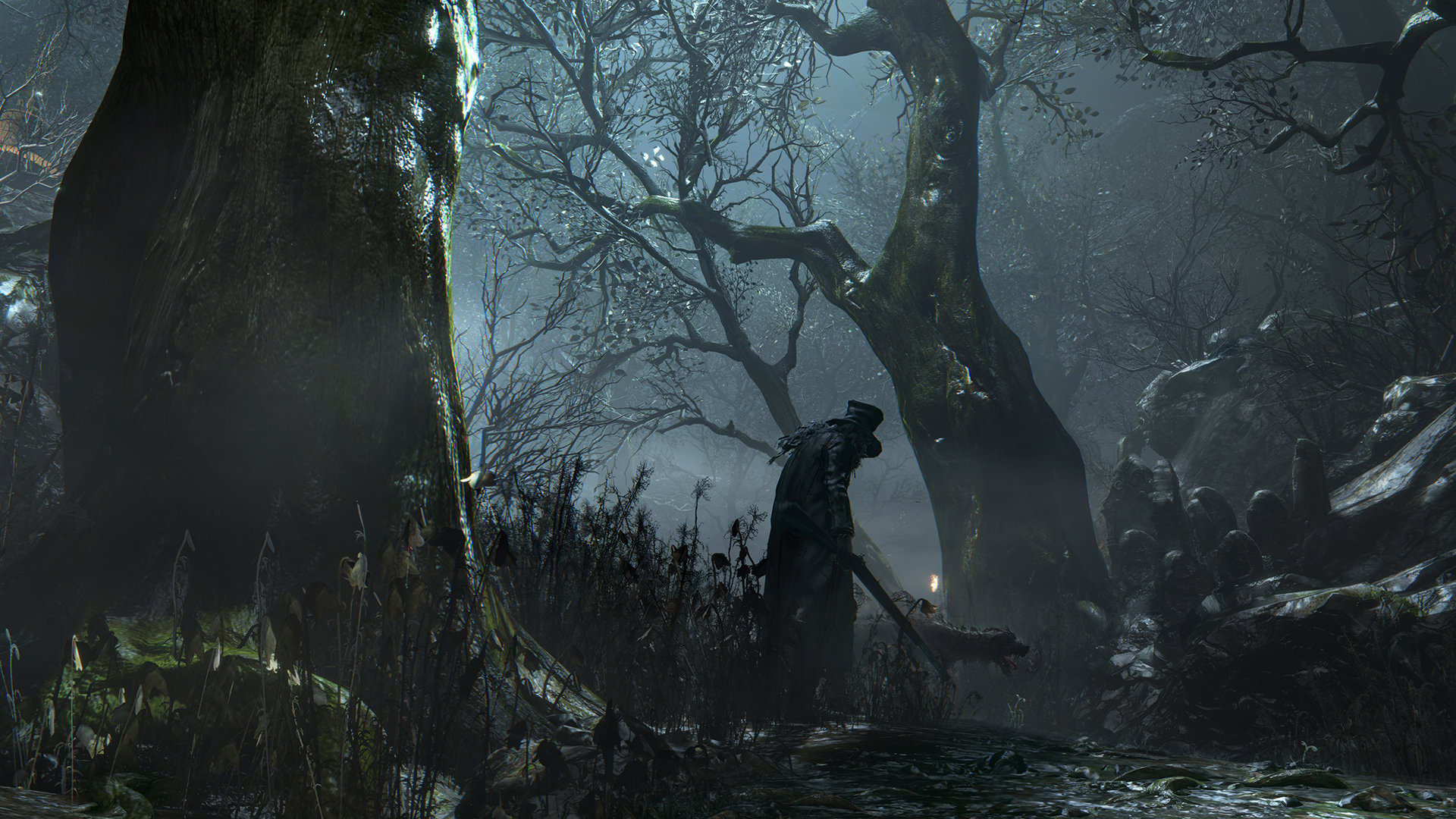 Datei:Verbotener Wald1.jpg | Bloodborne Wiki | Fandom powered by Wikia