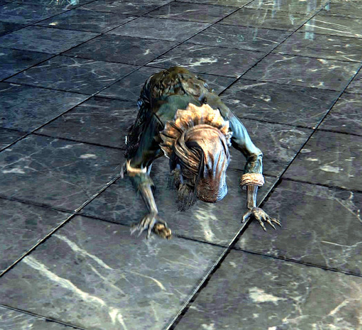 File:Bloodborne™ 20151016013436.png