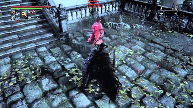 File:Facing off.jpg