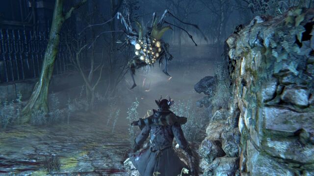 File:Bloodborne™ 20151014083551.jpg