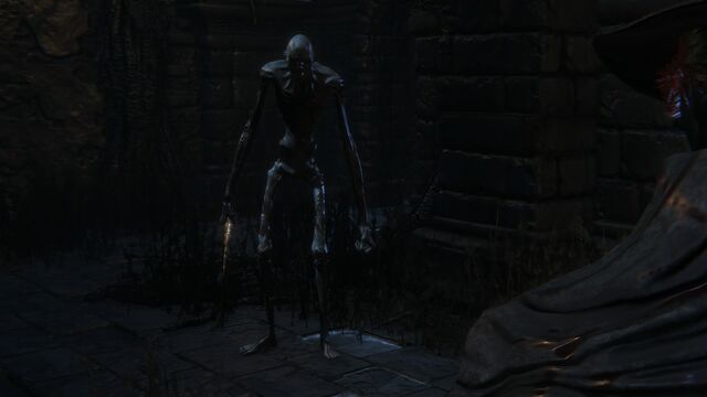 File:Bloodborne™ 20150510201244.jpg