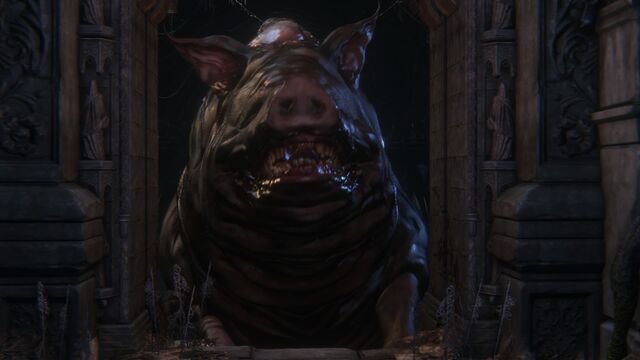 File:Bloodborne™ 20150516184404.jpg
